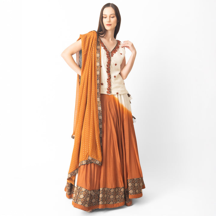Alani Lehenga Choli Set with Hand Tie Dye - Raas