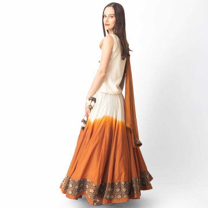 Alani Lehenga Choli Set with Hand Tie Dye - Raas