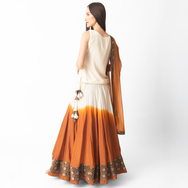 Alani Lehenga Choli Set with Hand Tie Dye - Raas