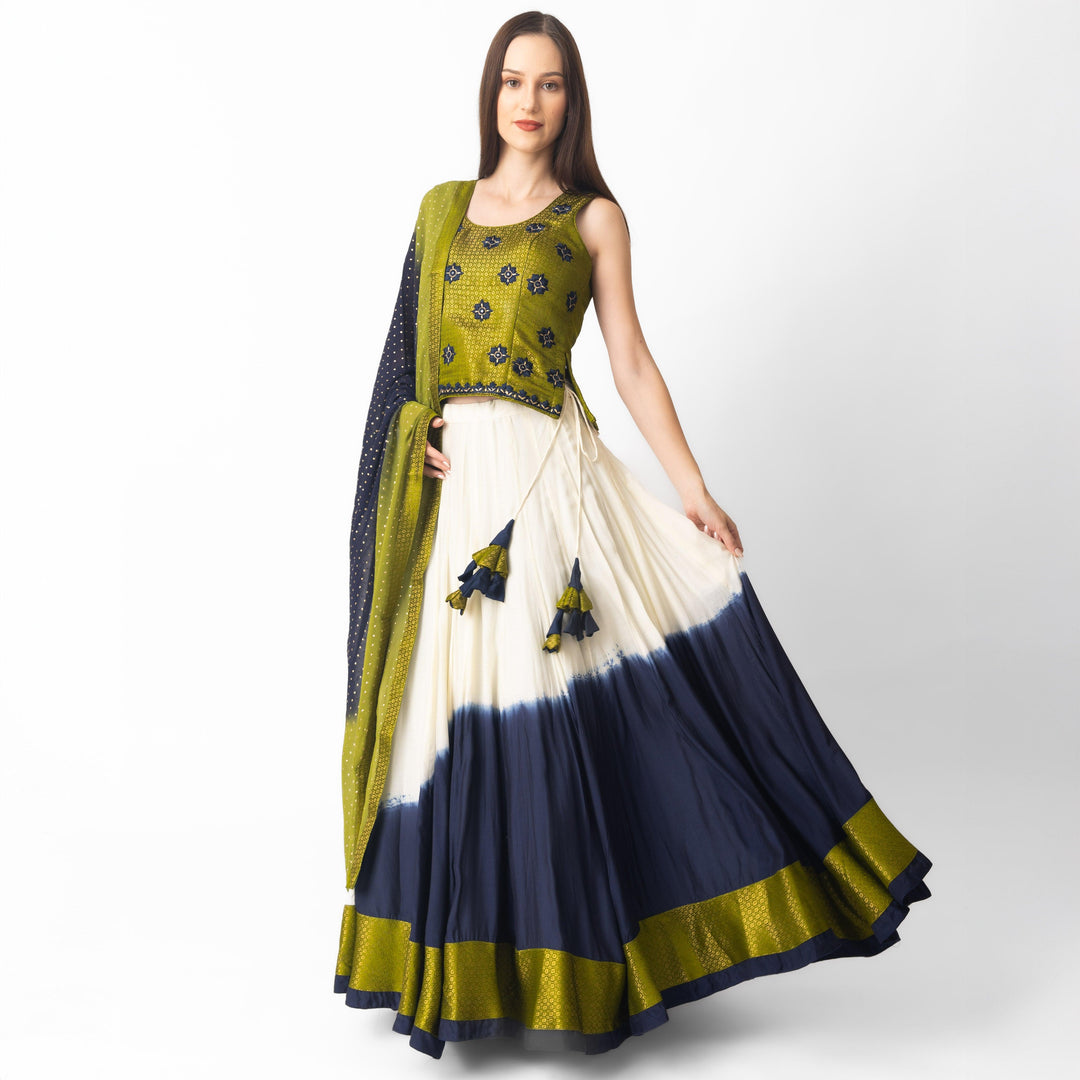 Lita Multicolor Lehenga Choli Set - Raas