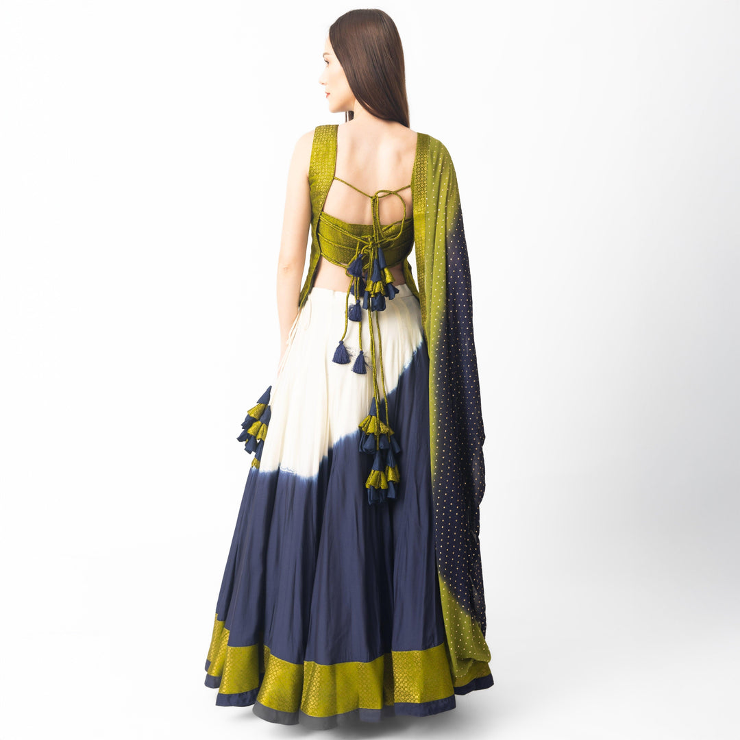 Lita Multicolor Lehenga Choli Set - Raas