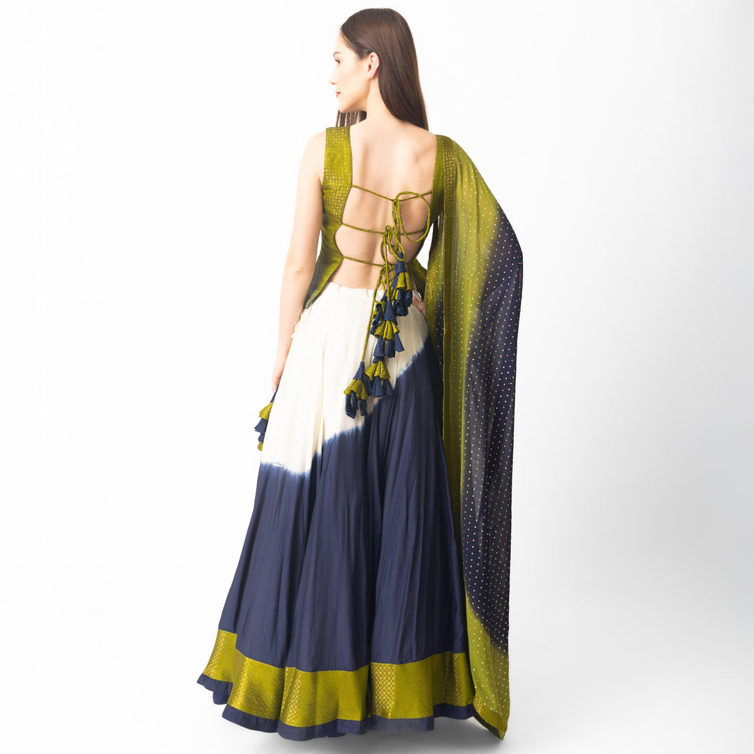 Lita Multicolor Lehenga Choli Set - Raas