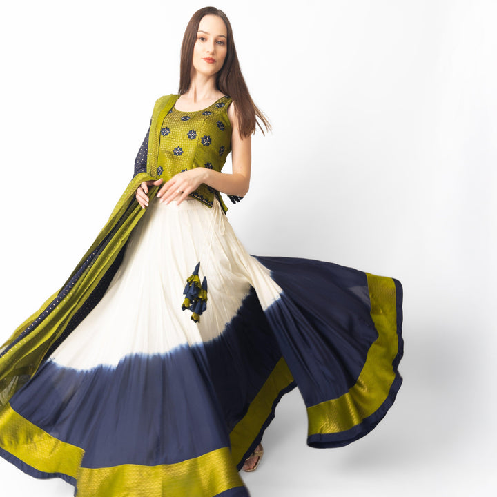 Lita Multicolor Lehenga Choli Set - Raas