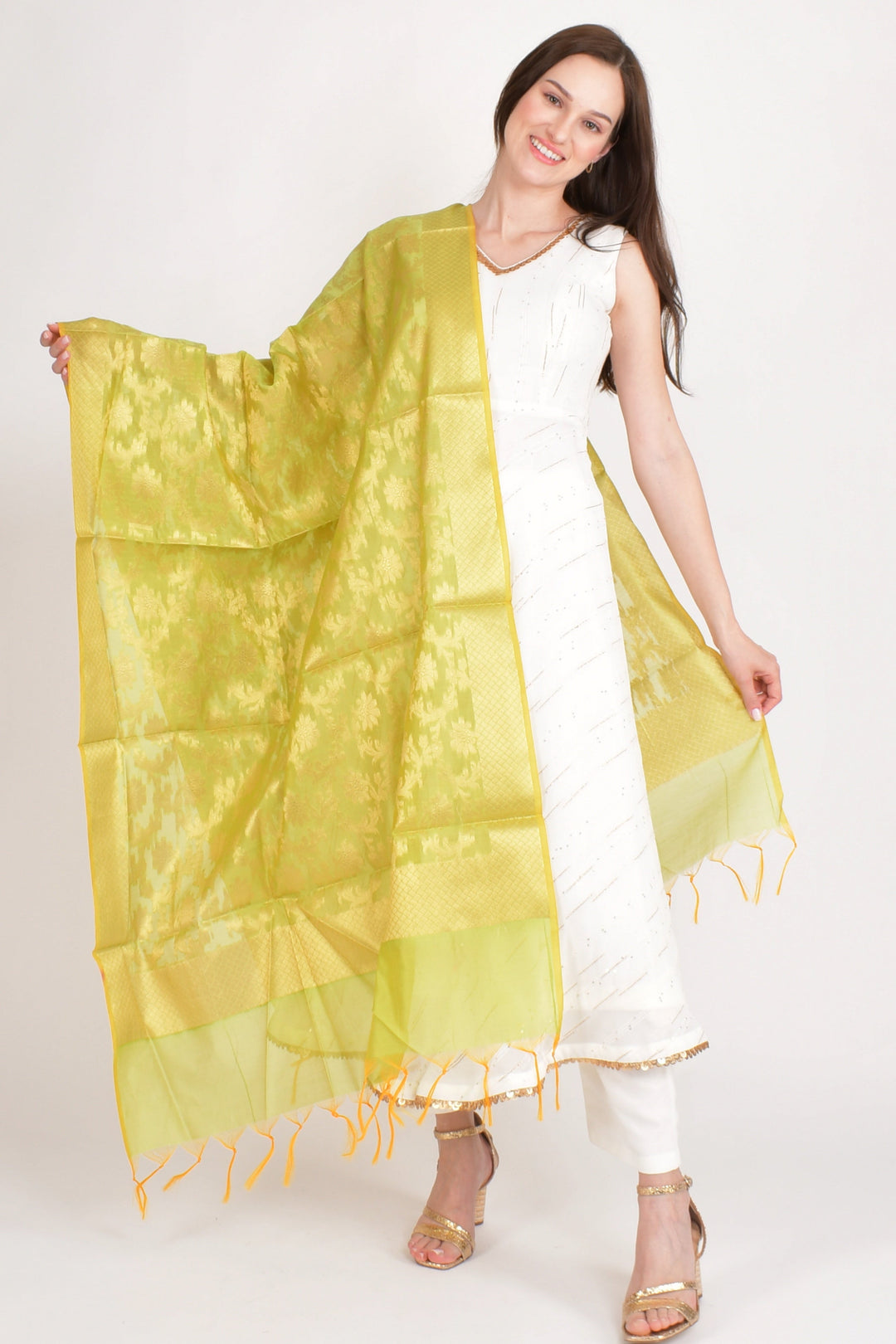 Meera Lime Banarasi Silk Dupatta - Raas