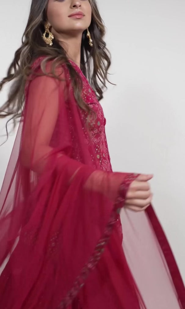 Valentina Pink Lehenga Choli Set
