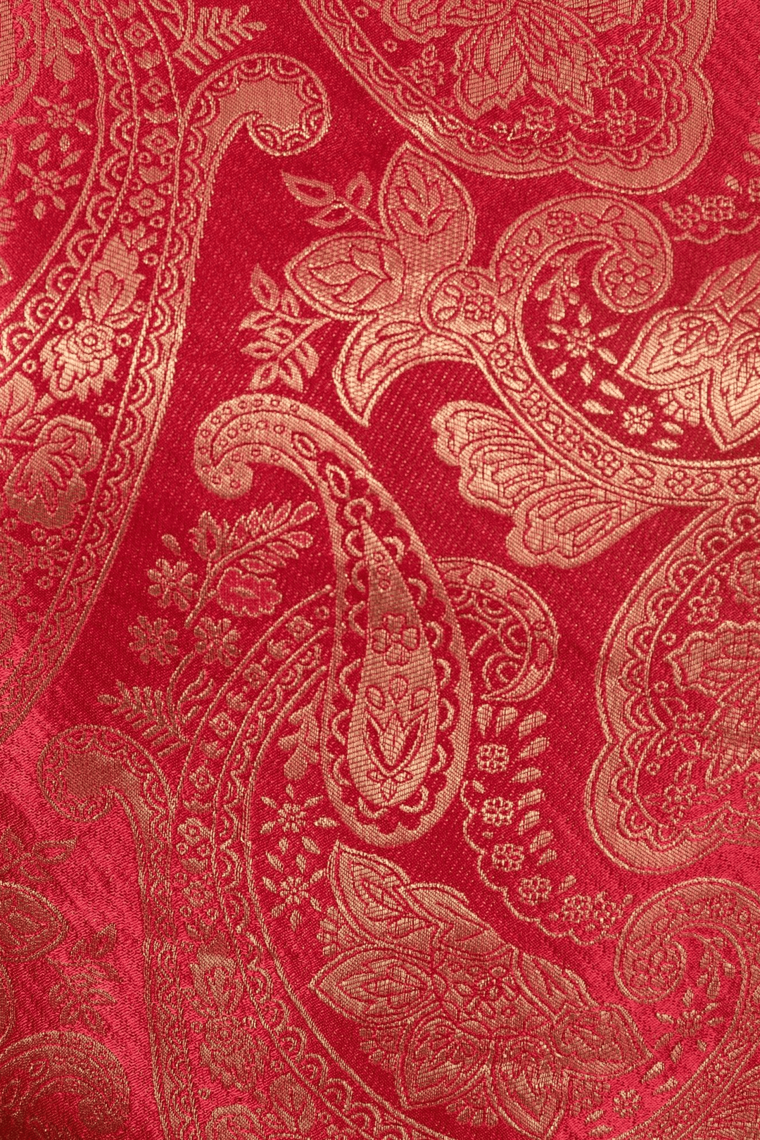 Coraline Banarasi Silk Red Salwar Kameez Set  by Raas -  ANARKALI & GOWN