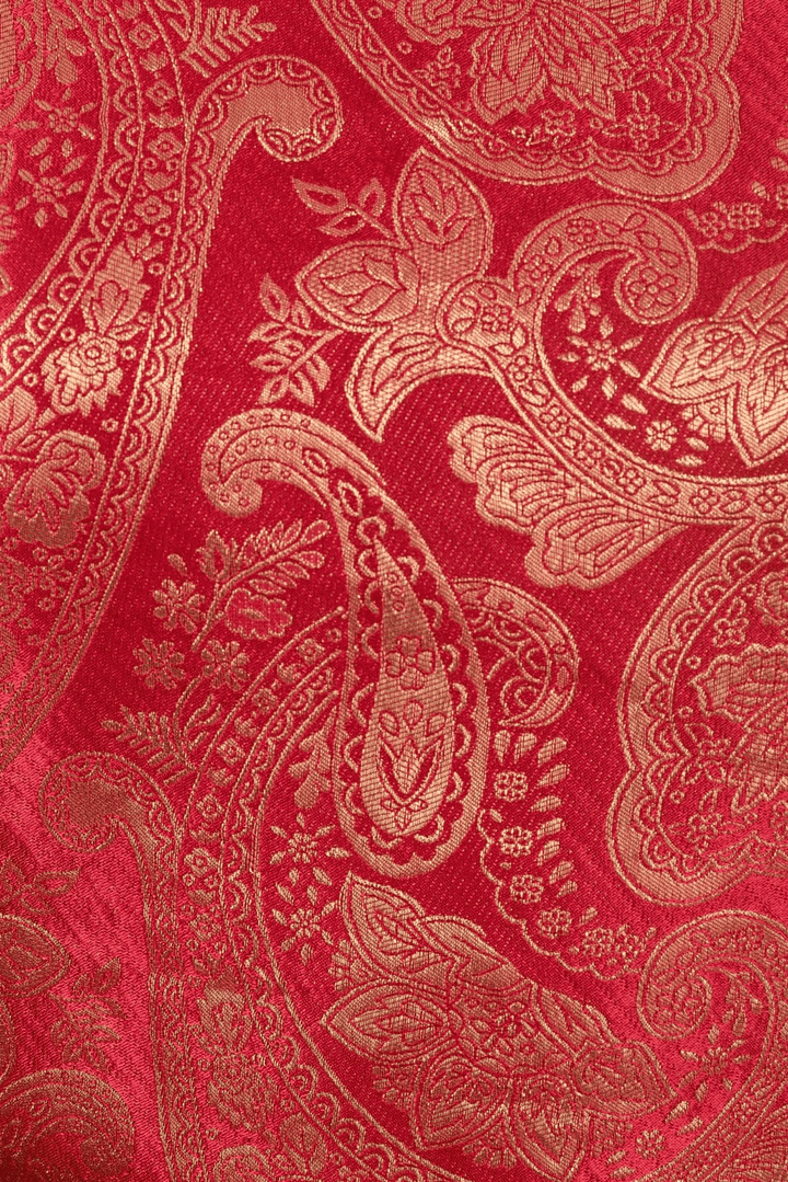 Coraline Banarasi Silk Red Salwar Kameez Set  by Raas -  ANARKALI & GOWN