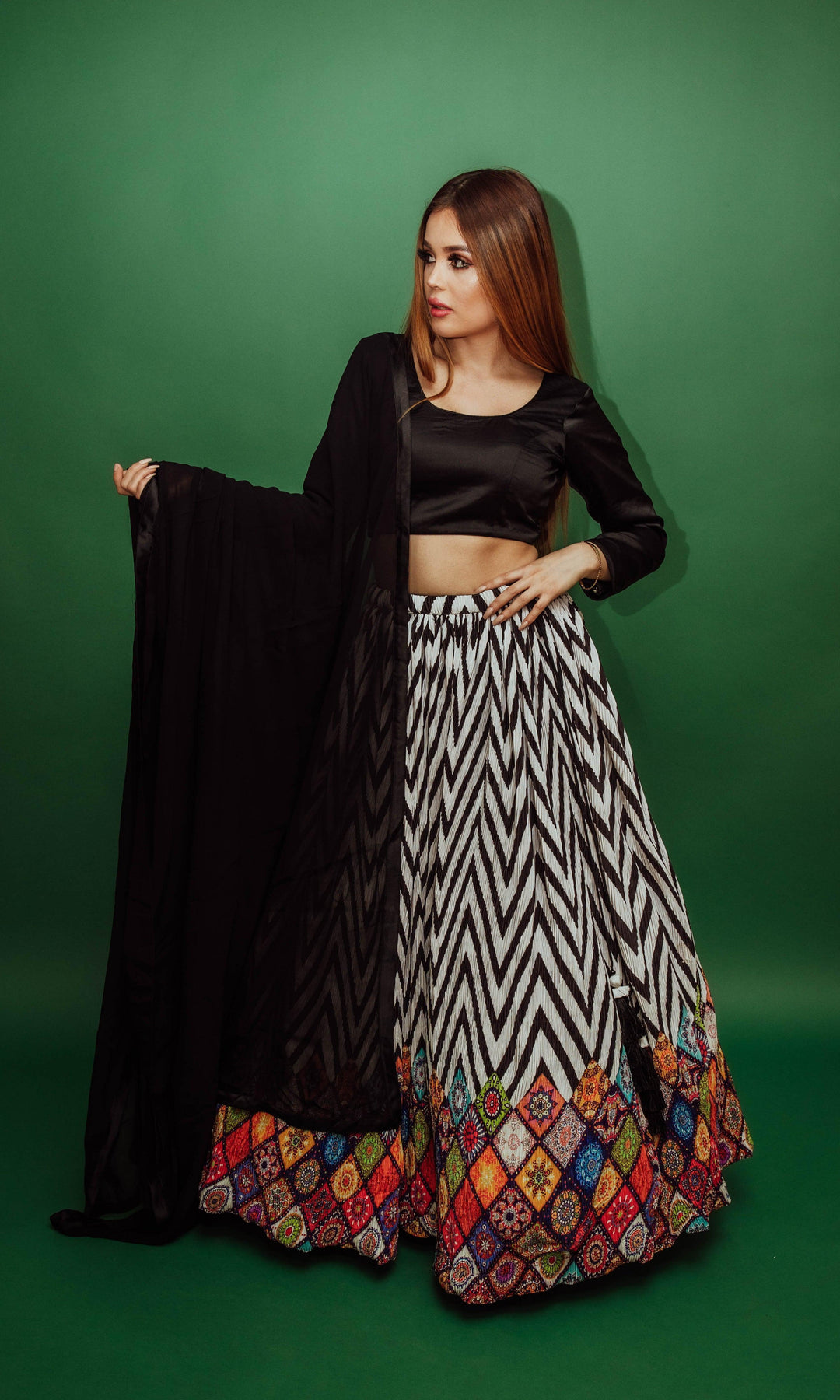 Bowie Chevron Lehenga Choli Set - Raas