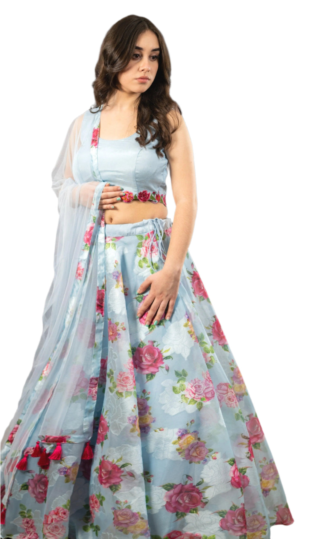 CC3122 - Chaniya choli