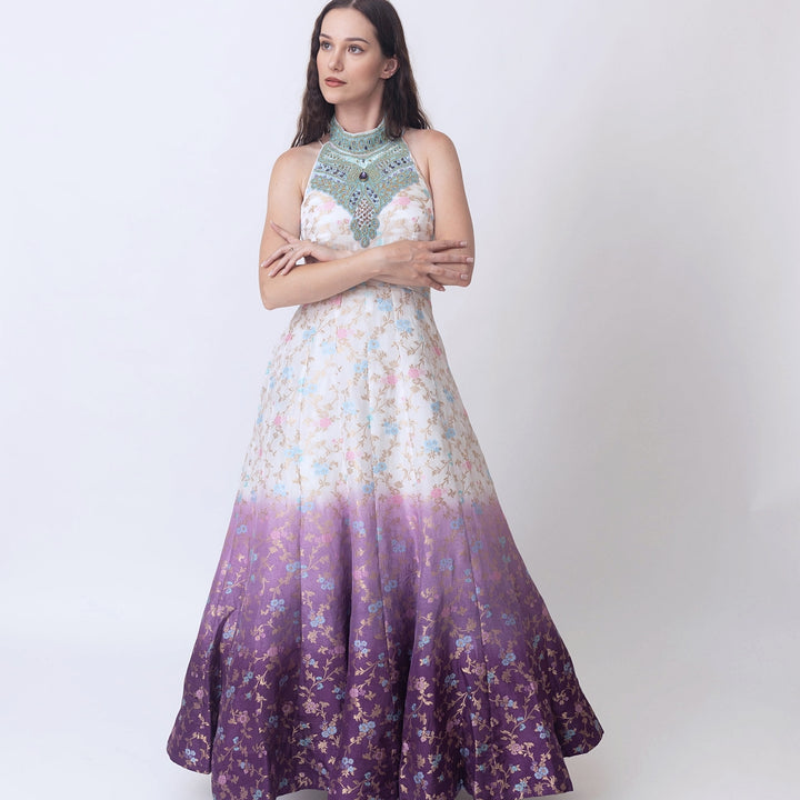 Maria Shaded Banarasi Jacquard Gown Dress with Hand Embroidered Torso