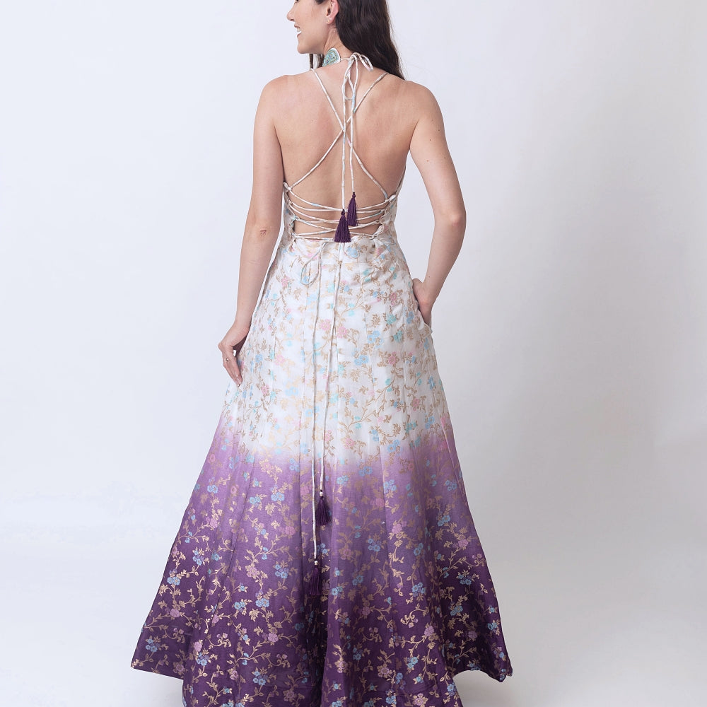 Maria Shaded Banarasi Jacquard Gown Dress with Hand Embroidered Torso