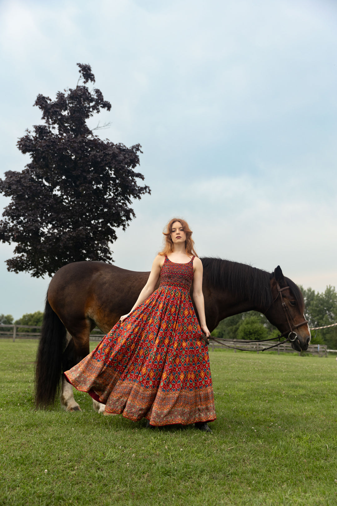 Louisa Red Patola Print Dress