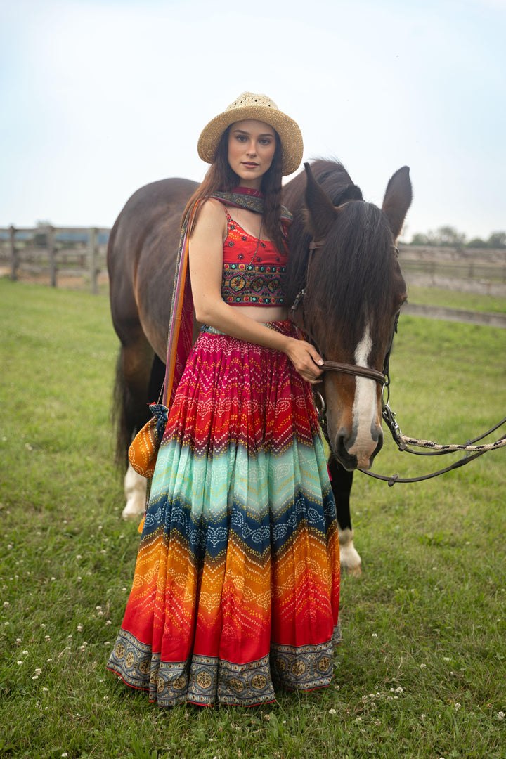 Destiny Multicolor Lehenga Choli