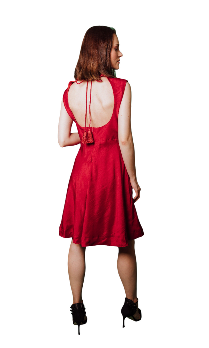 Arella Red Raw Silk Dress