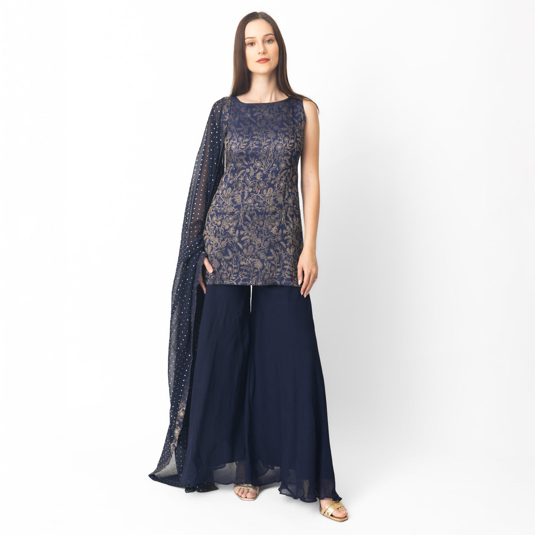 Deven Navy Salwar Kameez Set - Raas