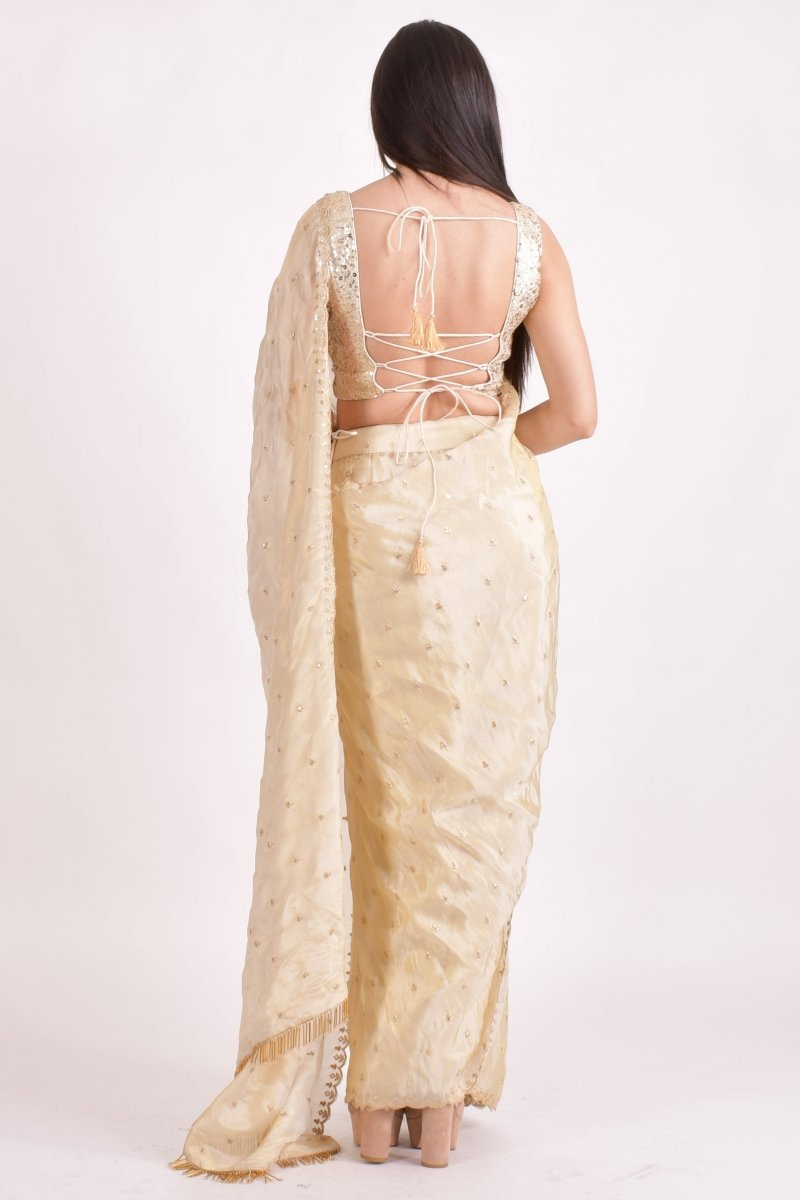 Beige Silk Pre - Pleated Embroidered Saree SAREE RAAS