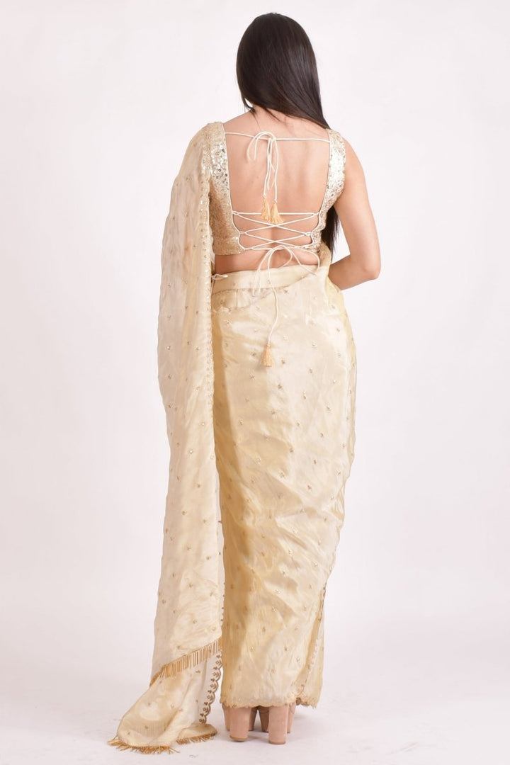 Beige Silk Pre - Pleated Embroidered Saree SAREE RAAS