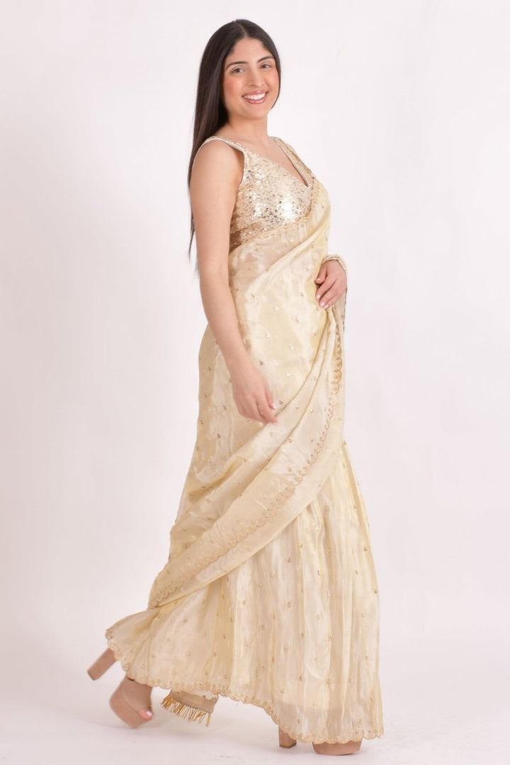 Beige Silk Pre - Pleated Embroidered Saree SAREE RAAS