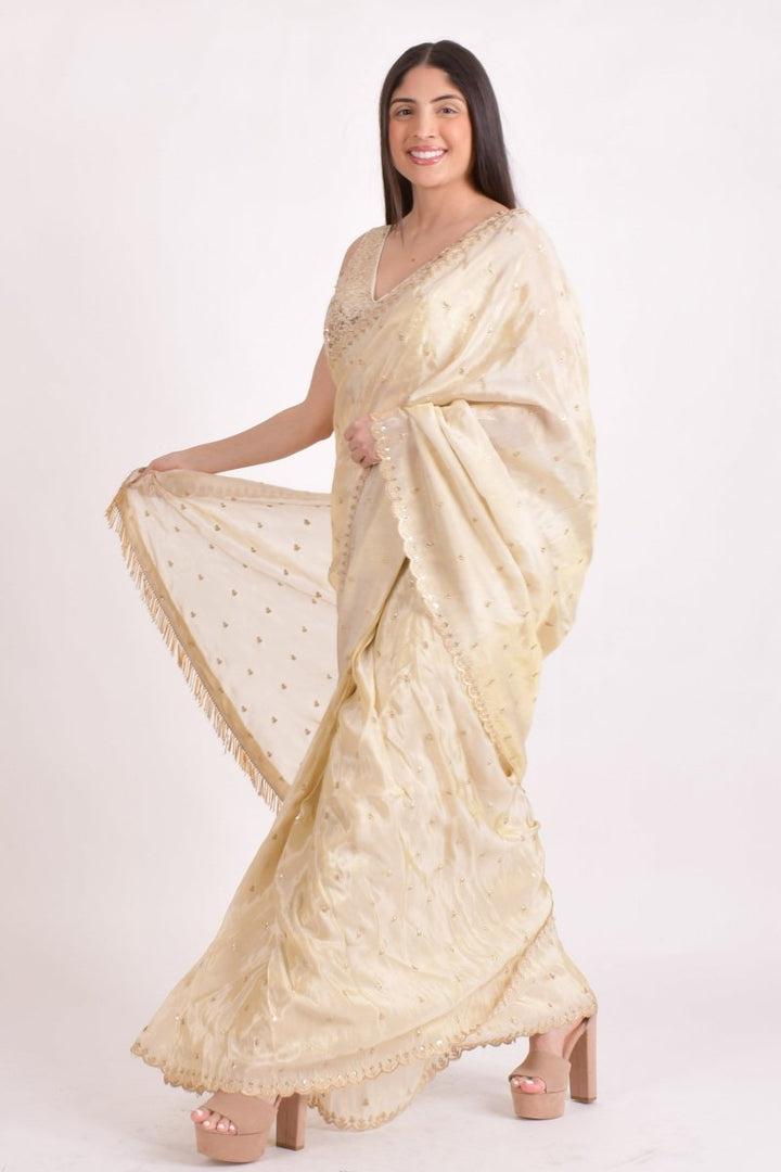 Beige Silk Pre - Pleated Embroidered Saree SAREE RAAS