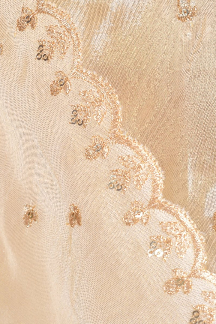 Beige Silk Pre - Pleated Embroidered Saree SAREE RAAS