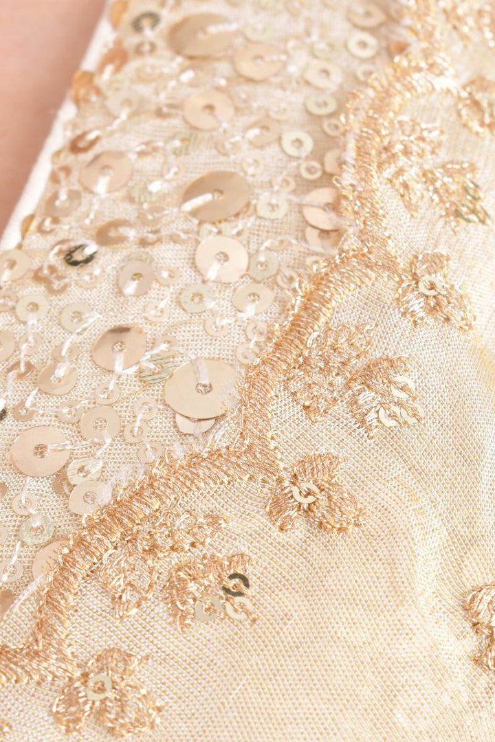 Beige Silk Pre - Pleated Embroidered Saree SAREE RAAS