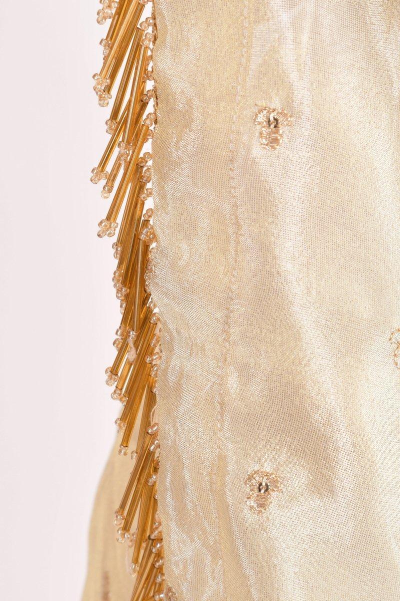 Beige Silk Pre-Pleated Embroidered Saree-[pre_stitched_saree]-Raas