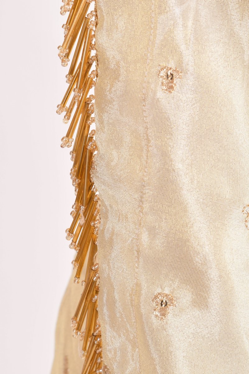 Beige Silk Pre - Pleated Embroidered Saree SAREE RAAS