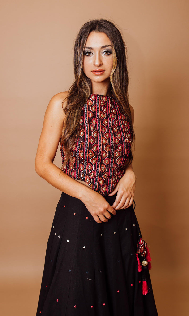 Black Mirror work Chaniya choli with Heavily Embroidered Blouse-[mirror work]-Raas