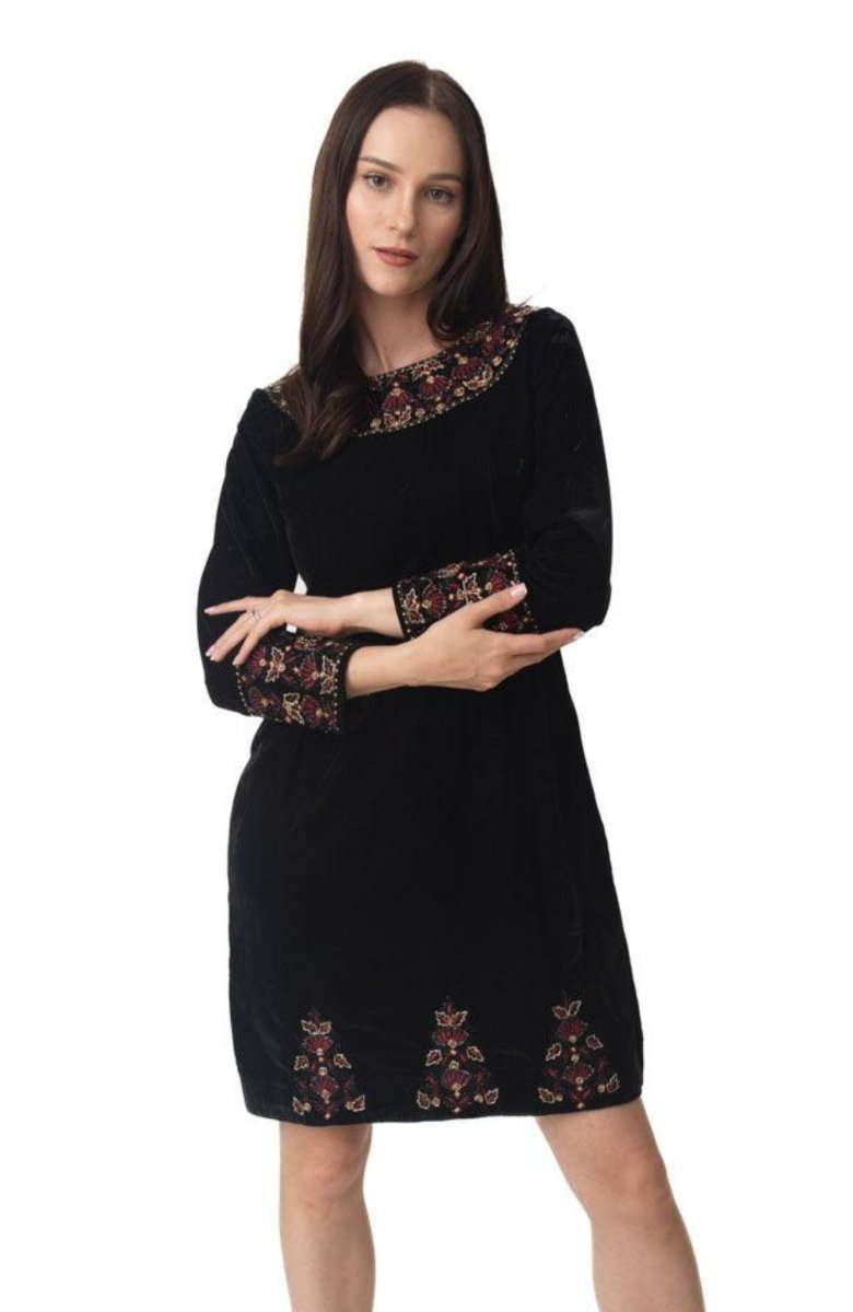 Black velvet mini dress with intricate hand embroidery on neckline, sleeves, and hem.
