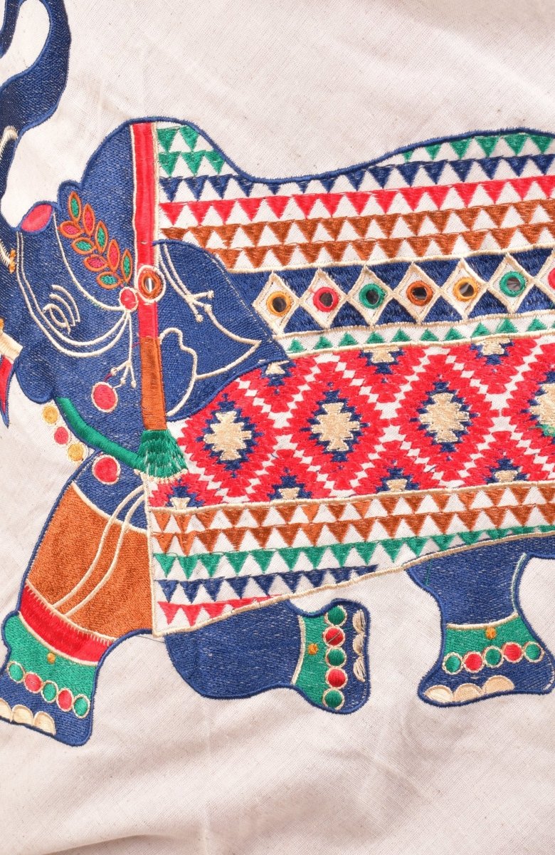 Multi color cotton chaniya choli set detail - CCL4