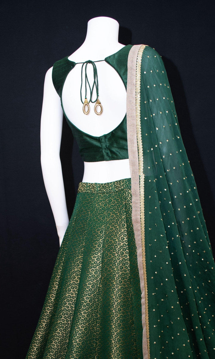 Green Lehenga Choli - CC3194-[blue_lehengas]-[Blue_lehenga_choli]-[blue_dresses]
