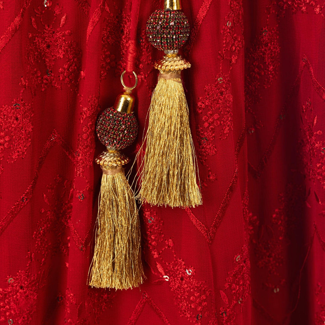 Carmella Red Lehenga Choli Set with Sequins Embroidery - Raas