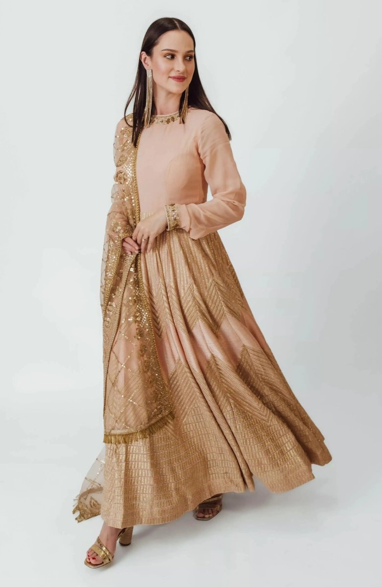 Full Sleeve Gown with Embroidery