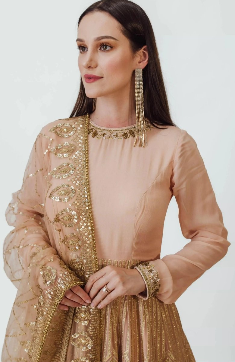 Full Sleeve Gown with Embroidery
