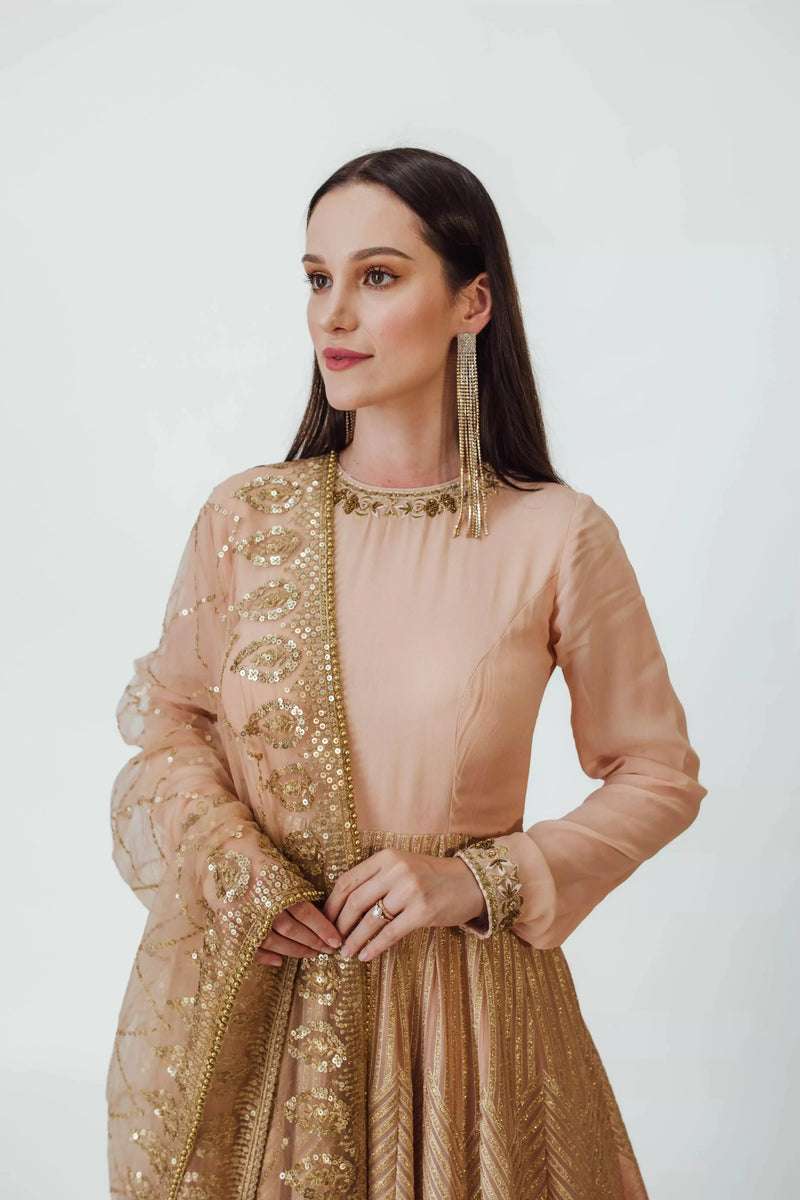 Full Sleeve Gown with Embroidery ANARKALI & GOWN RAAS