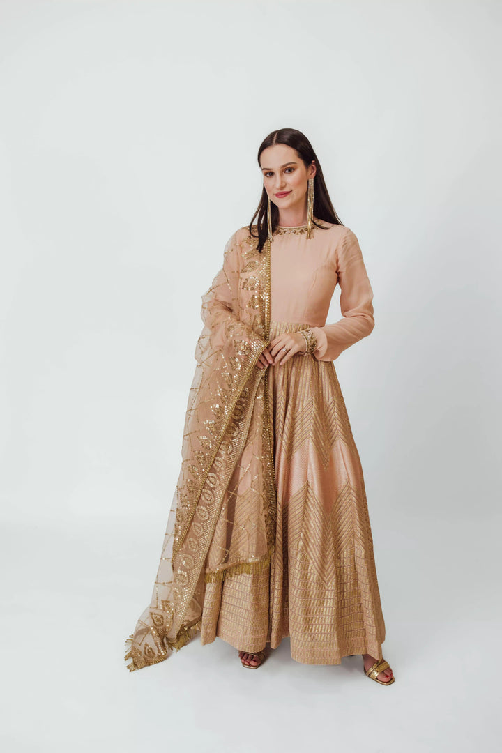 Full Sleeve Gown with Embroidery-Raas USA