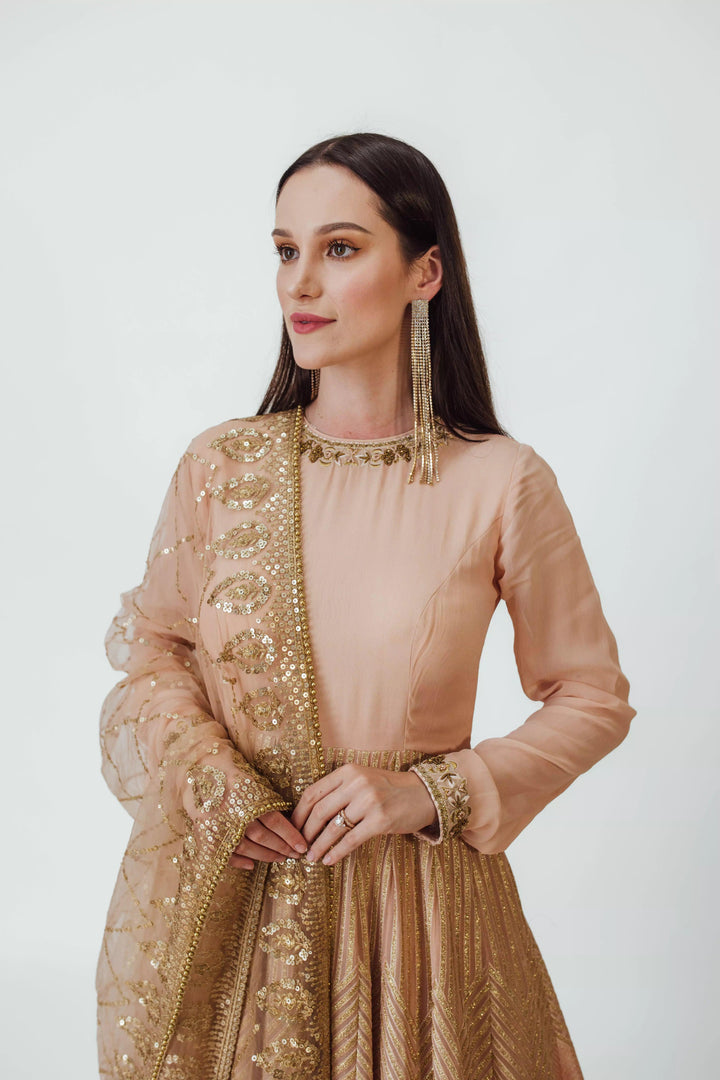 Full Sleeve Gown with Embroidery-Raas USA