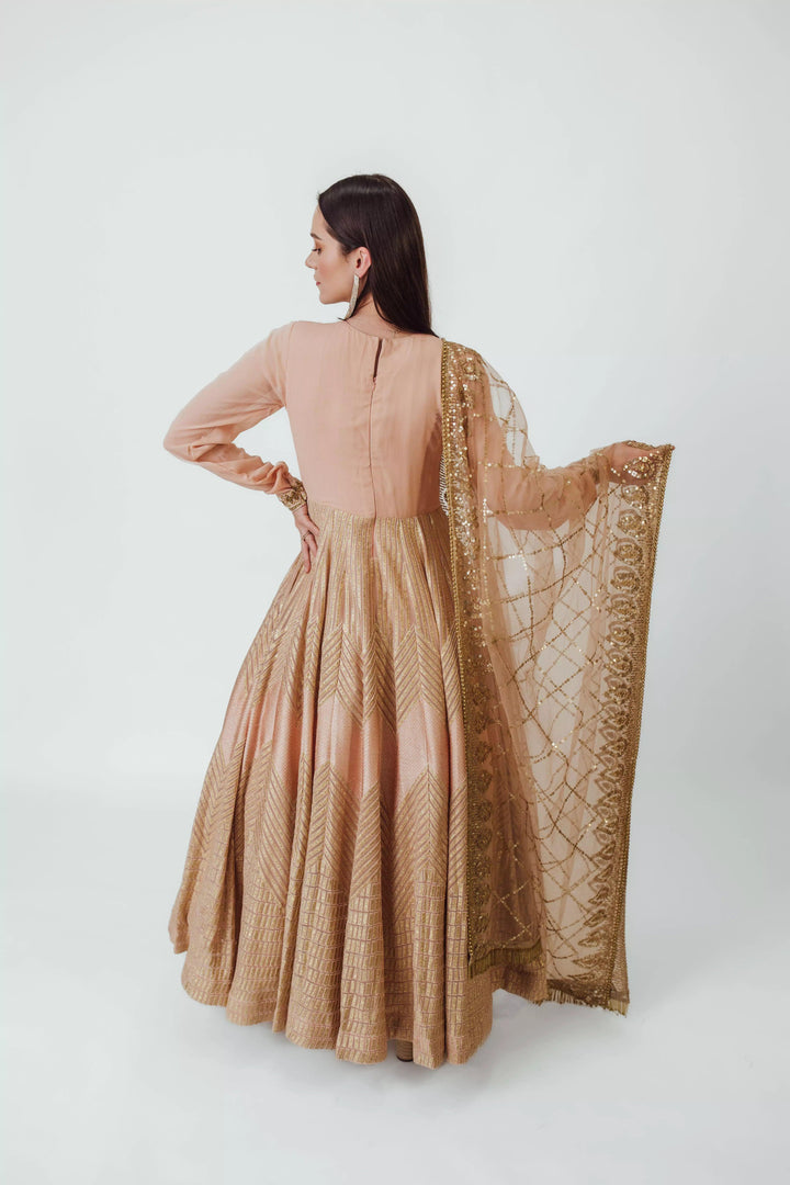 Full Sleeve Gown with Embroidery-Raas USA