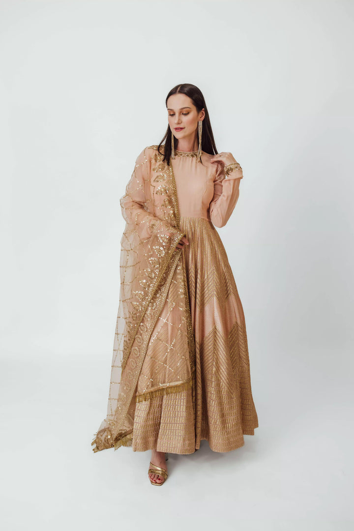 Full Sleeve Gown with Embroidery-Raas USA