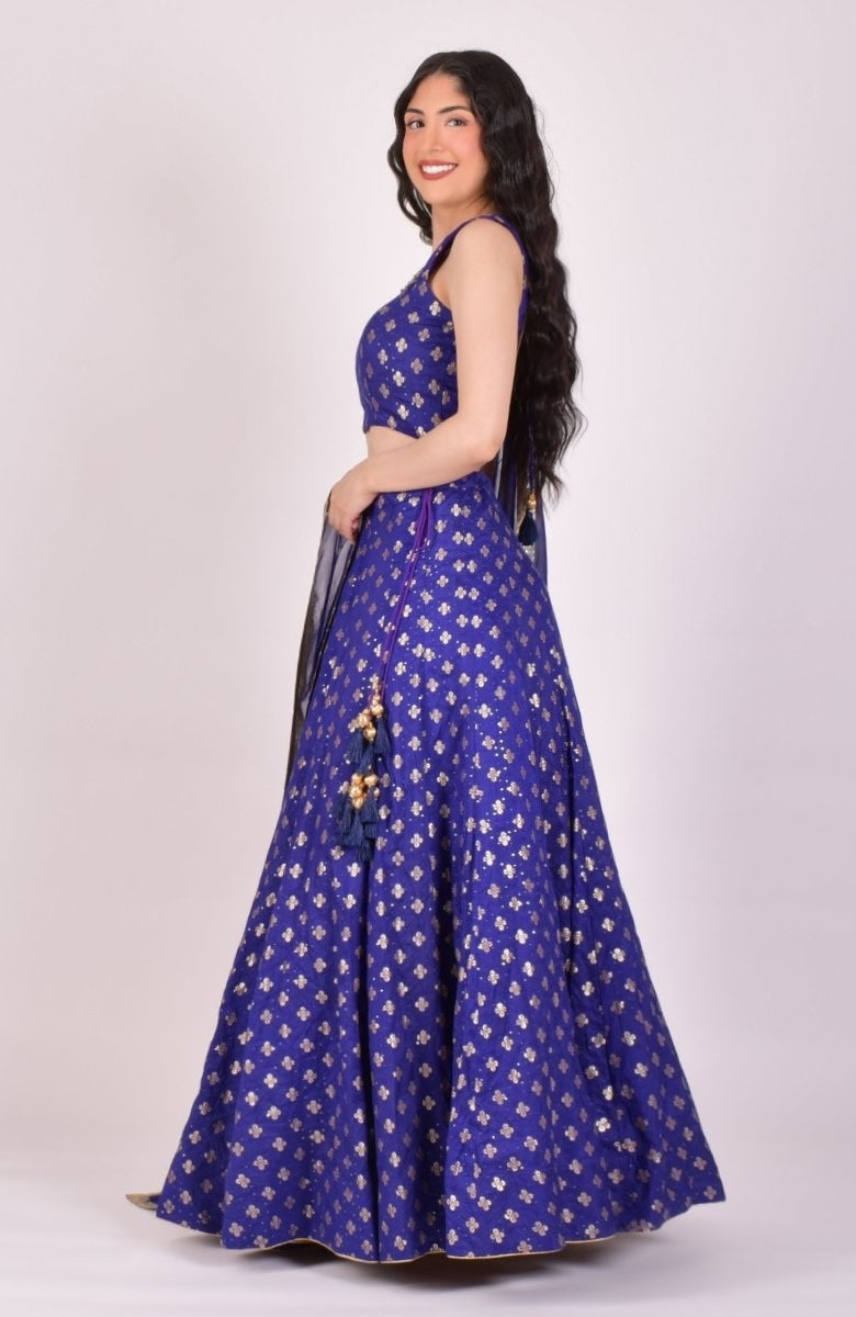 Royal Blue Sequin Chaniya Choli With Dupatta