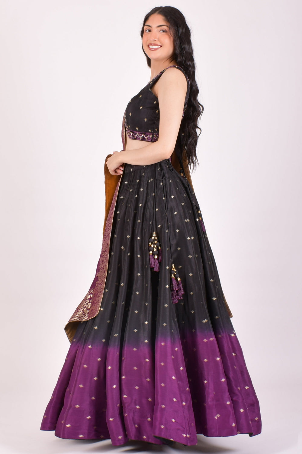 Black & Wine Ombre Banarasi Sequin Chaniya Choli