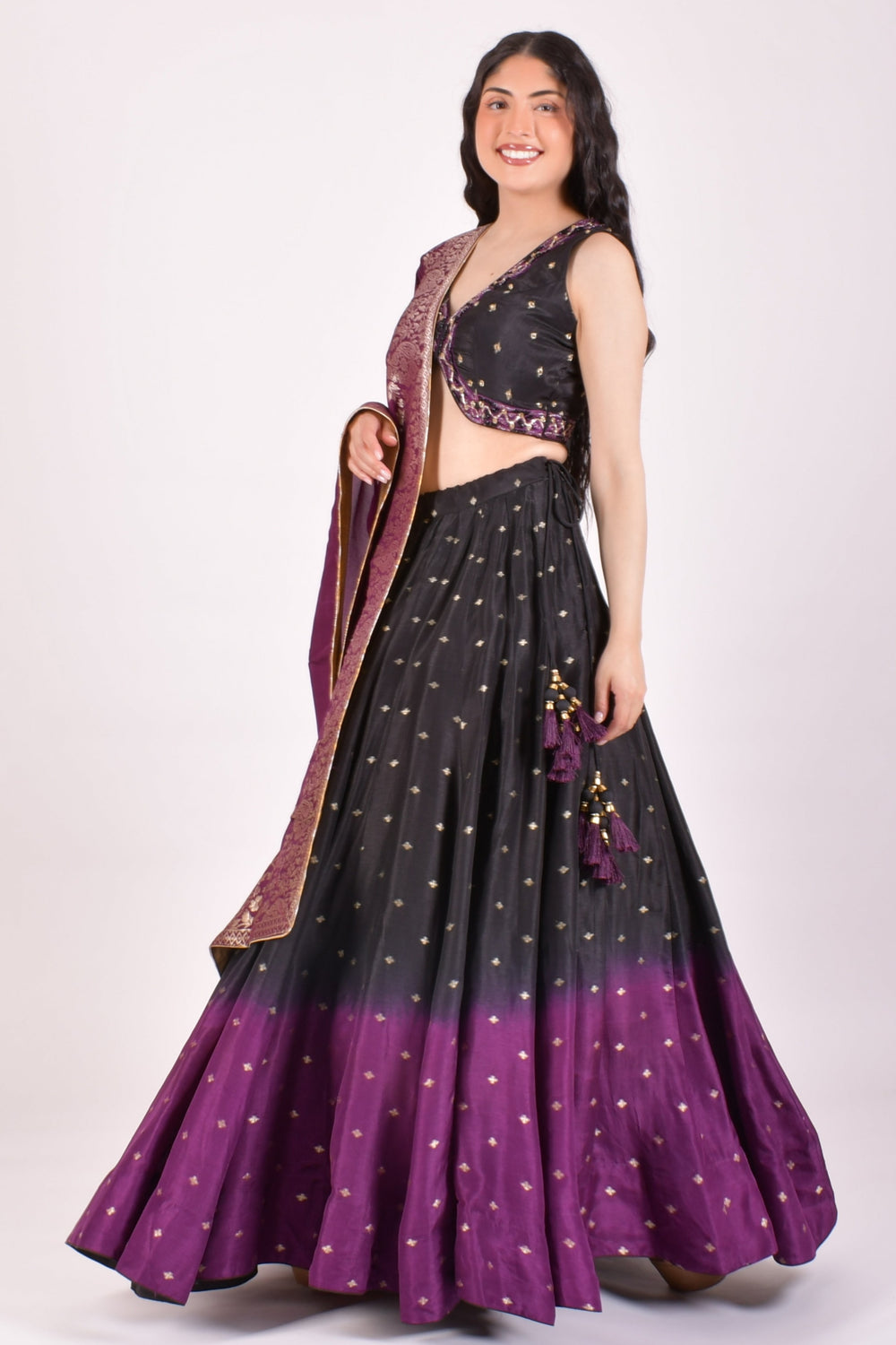 Black & Wine Ombre Banarasi Sequin Chaniya Choli