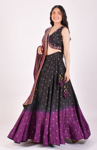 Black & Wine Ombre Banarasi Sequin Chaniya Choli