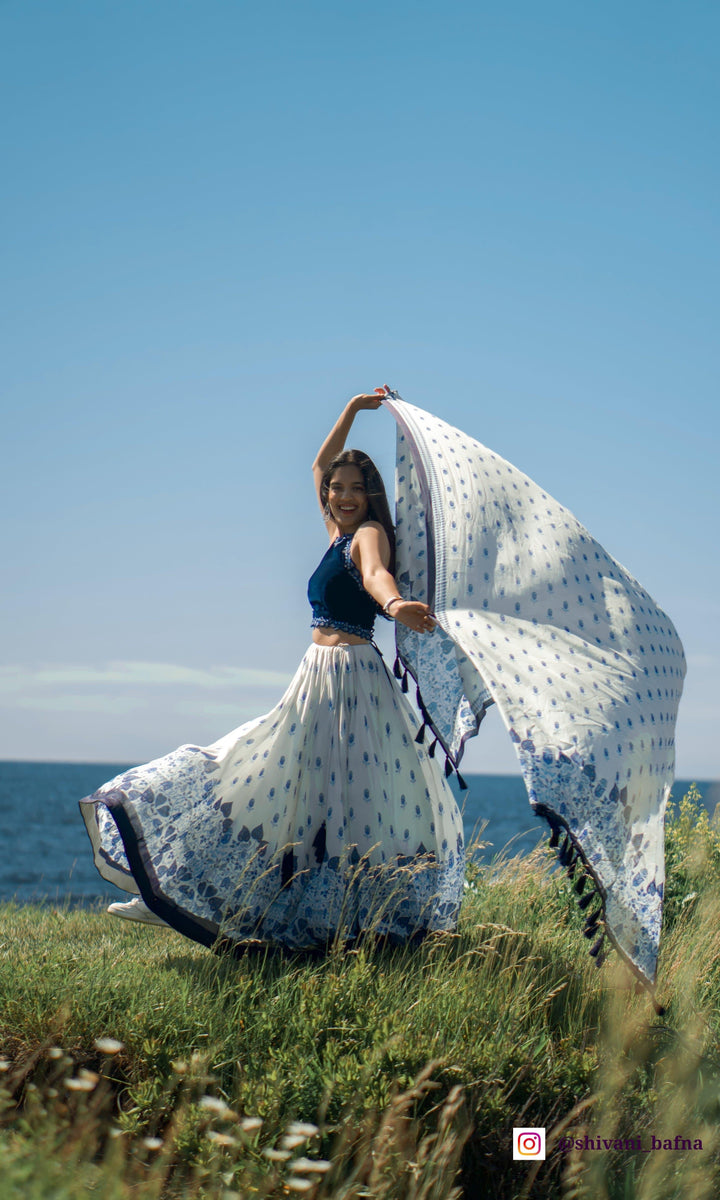 Lehenga with Cutwork Resham Embroidery Blouse-Raas USA