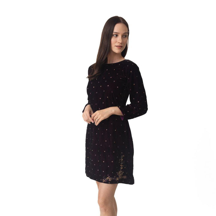 Lica Wine Velvet Dress with Hand Embroidery-Raas USA