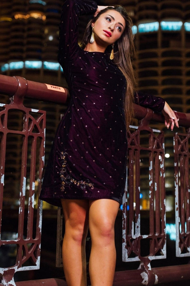 Lica Wine Velvet Dress with Hand Embroidery dresses RAAS