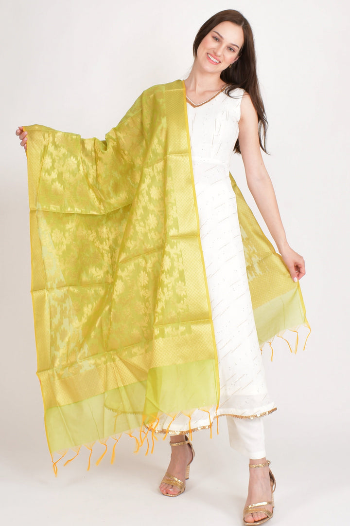Meera Lime Banarasi Silk Dupatta-Raas USA