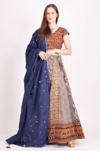 Multi color cotton silk chaniya choli set-Raas USA