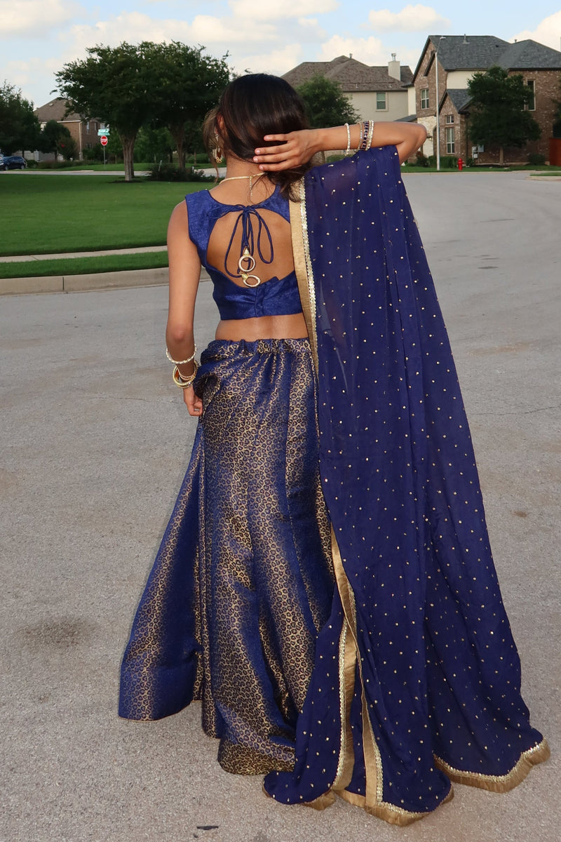 Navy Lehenga with Hand Embroidered Blouse-[comfort-first-design]-[lightweight]-Raas