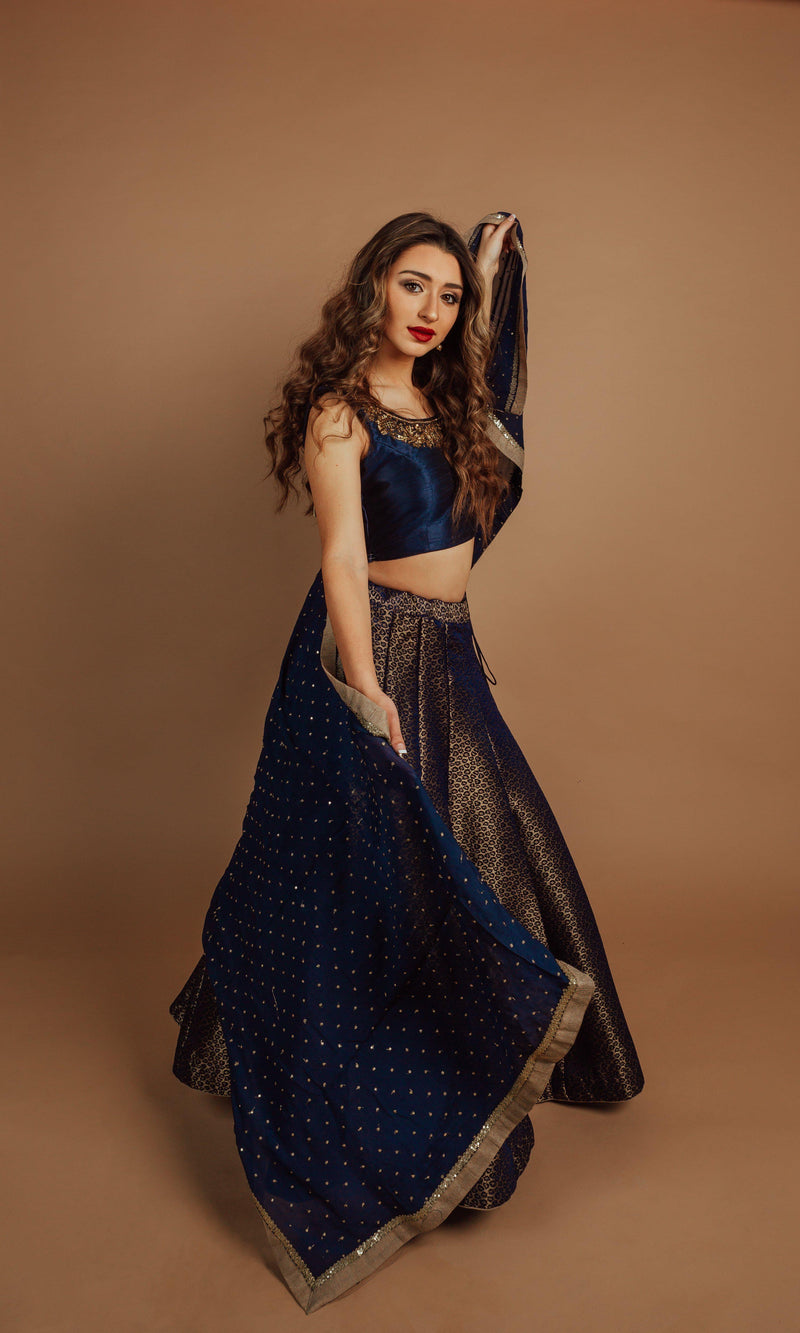 Navy Lehenga with Hand Embroidered Blouse-[comfort-first-design]-[lightweight]-Raas